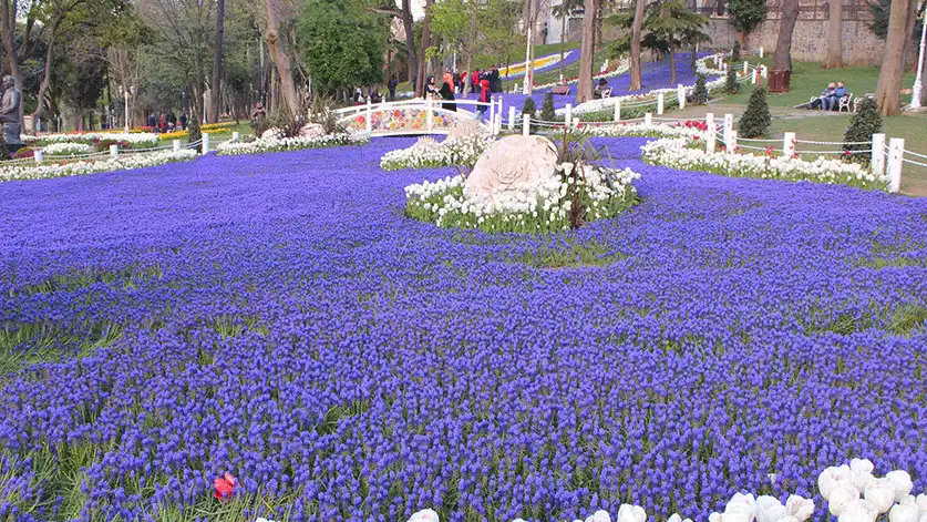 It is a popular tourist destination