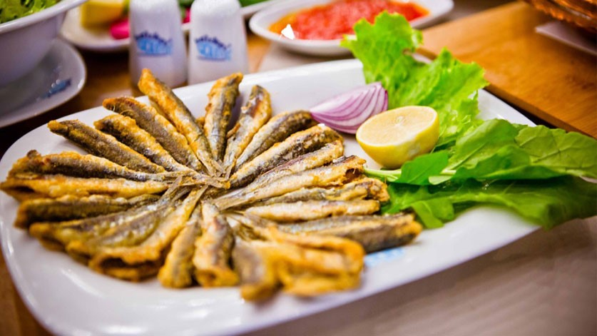 Hamsi (Anchovies) in a white plate