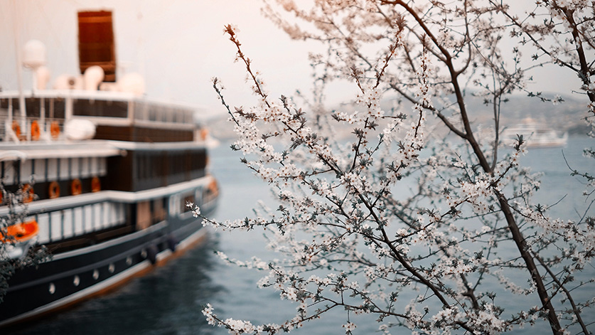 Is turkey safe to visit? - All about Turkey safety for tourists