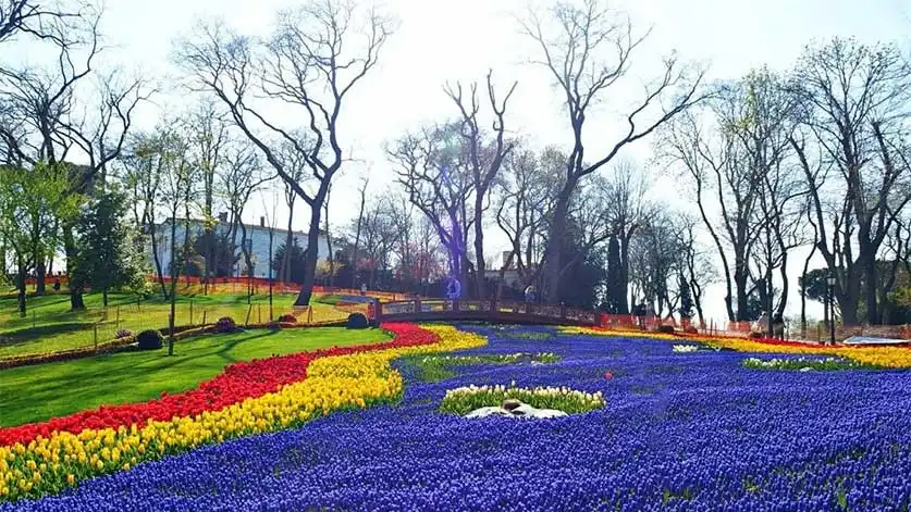 All About Emirgan tulip gardens (Emirgan Park) in Istanbul