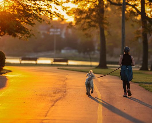 April Weather in Turkey: Mild Temps and Sunshine
