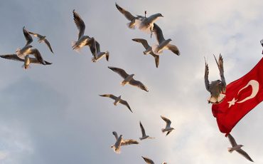 How Many Provinces are in Turkey? A Detailed Overview