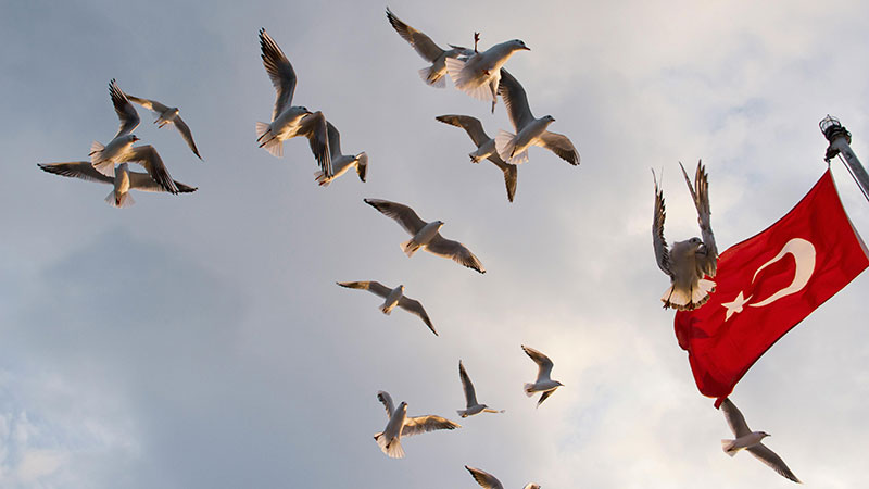 How Many Provinces are in Turkey? A Detailed Overview